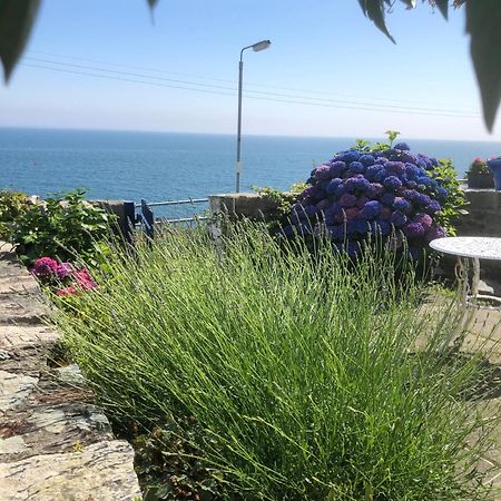 Slieve Donard Cottage Widows Row Cottages Нюкасъл Екстериор снимка