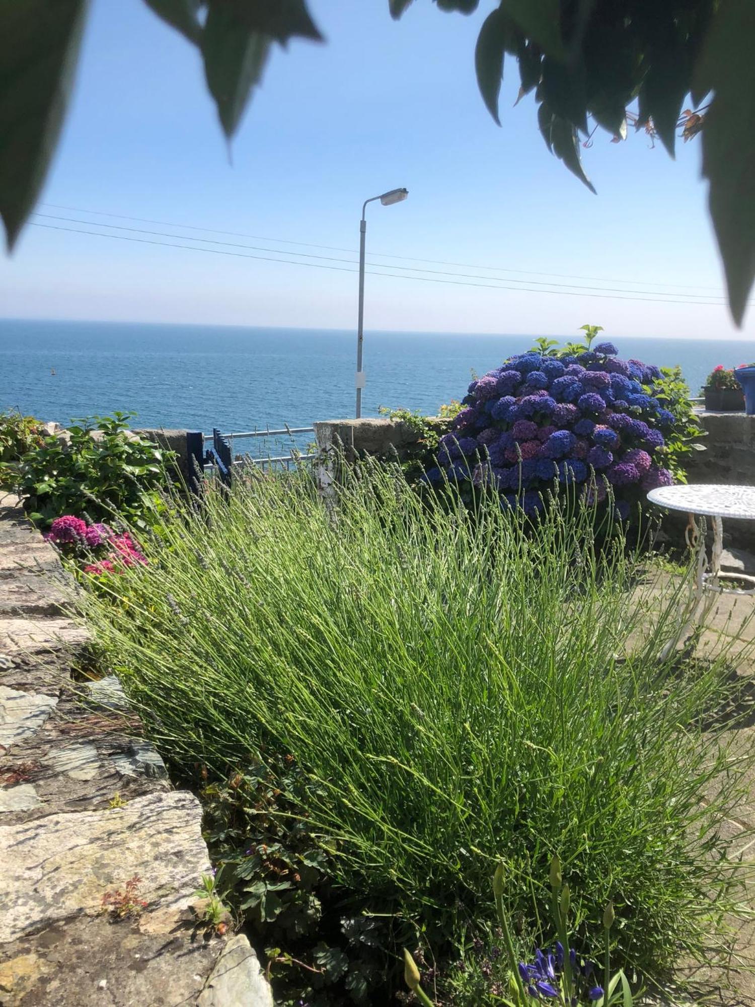 Slieve Donard Cottage Widows Row Cottages Нюкасъл Екстериор снимка